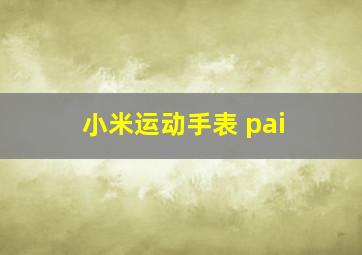 小米运动手表 pai